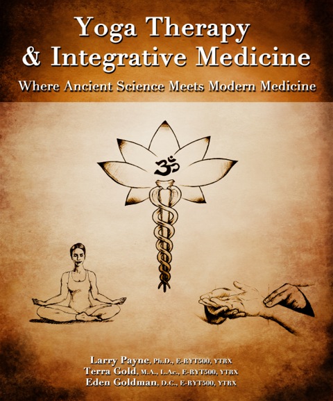 yoga therapy and integrative medicine cover yoga therapy and integrative medicine cover